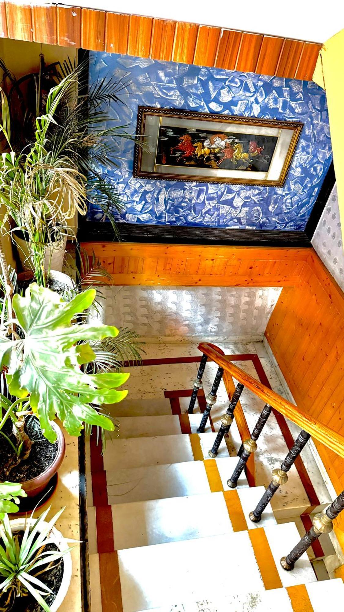 Hotel Apple Regency Shimla Exterior foto